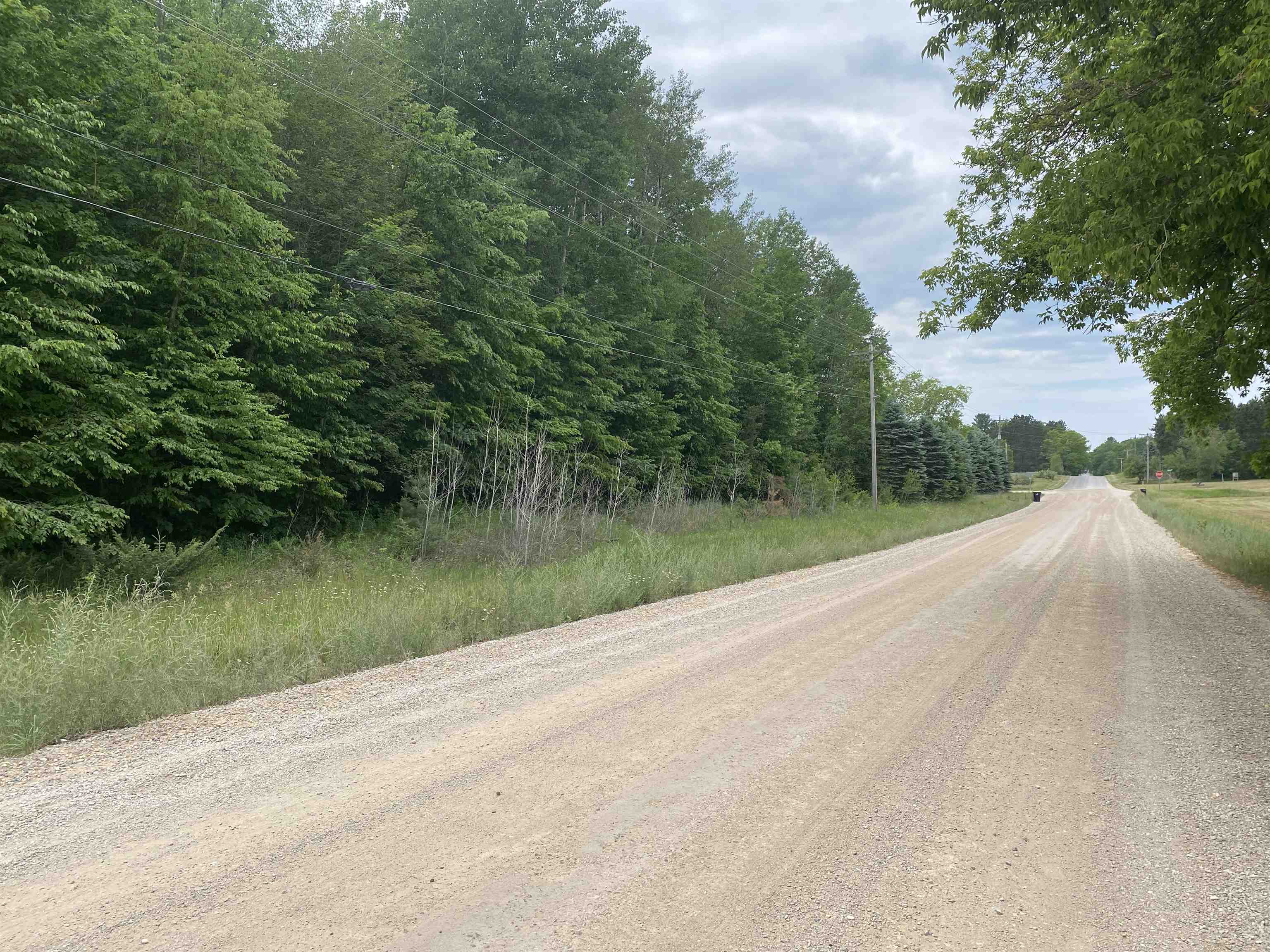 0 Woodman Road Fife Lake, MI 49633 - Photo 3 of 7 Gallery Image 3