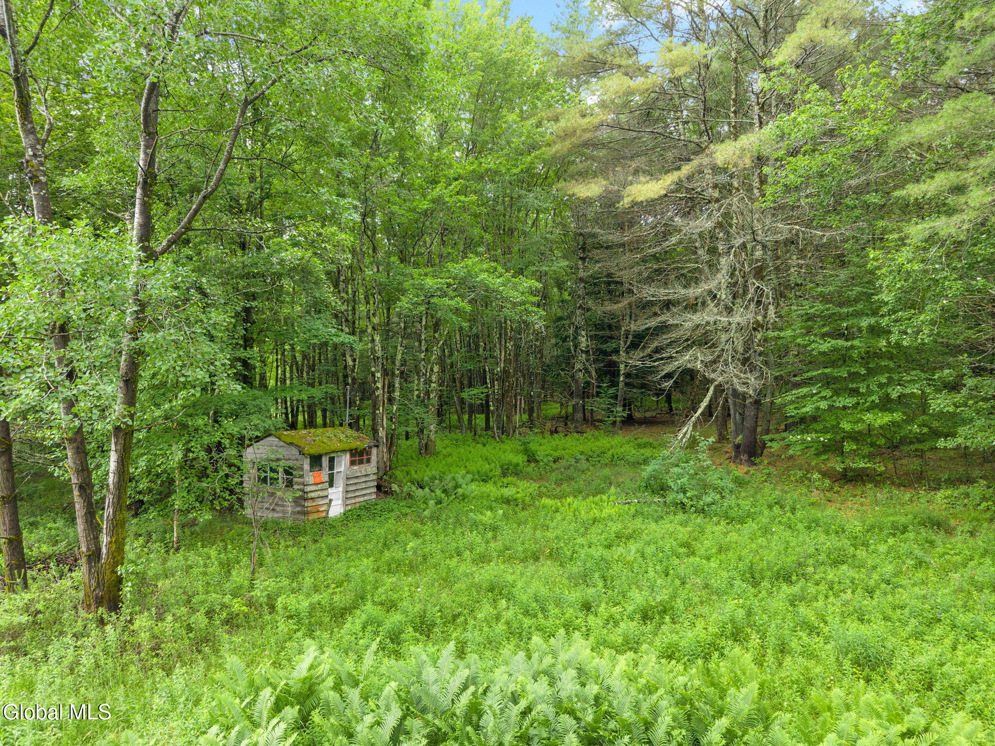 159 Ely Road Gilboa, NY 12076 - Photo 66 of 83 65-159ElyRd_65