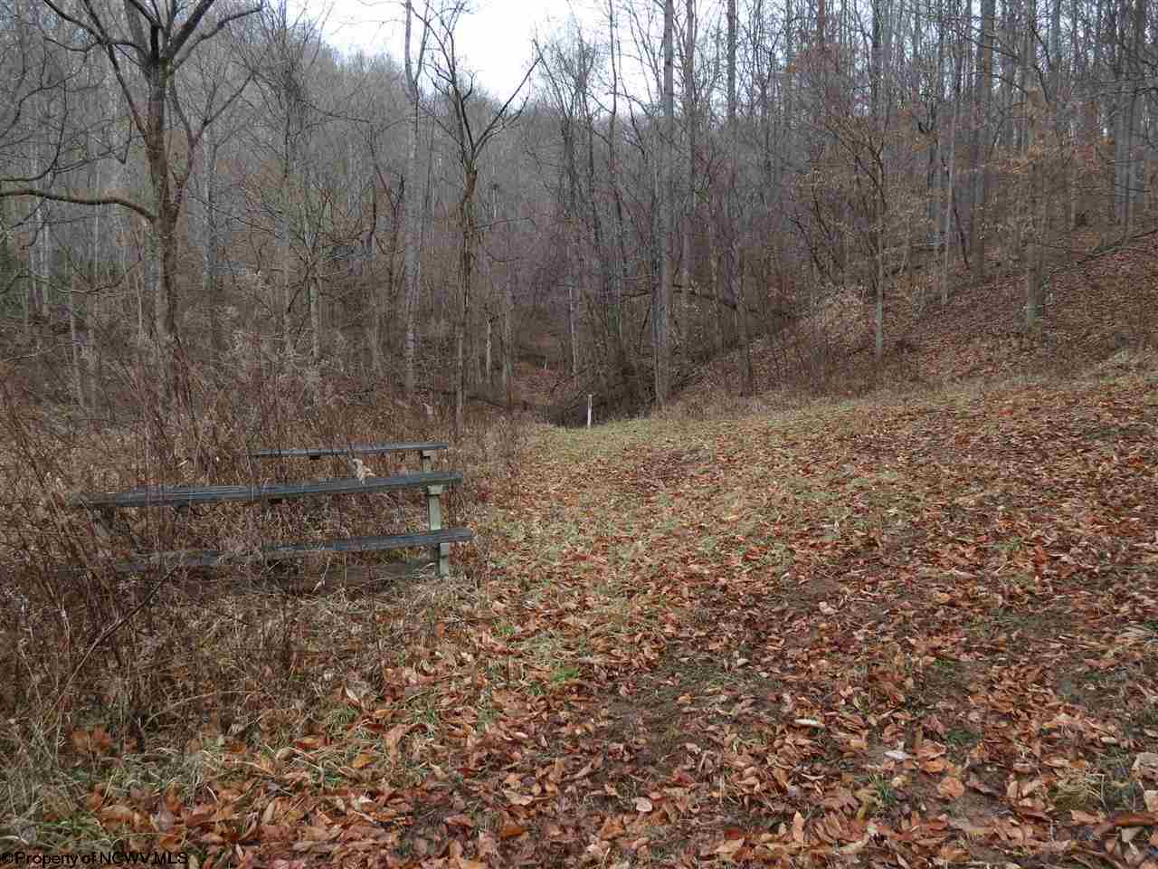 8000 Clay Road Looneyville, WV 25259 - Photo 3 of 7 Gallery Image 3