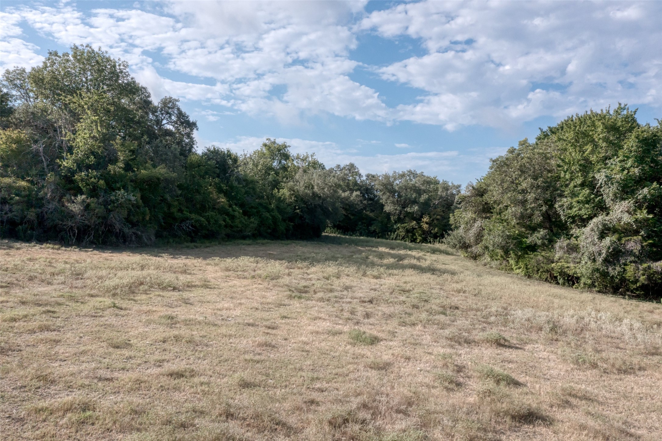 Tbd Wied Road La Grange, TX 78945 - Photo 7 of 25