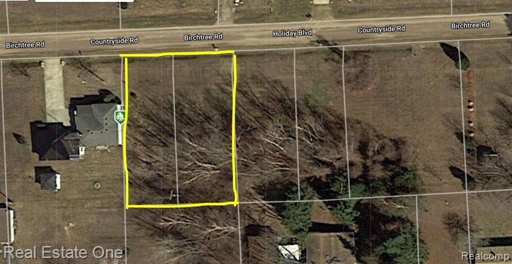 0 Birchtree Road Lexington, MI 48450 - Photo 1 of 19