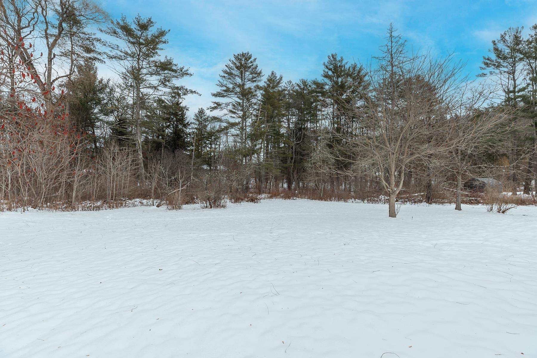 52 Walker Meadows Arlington, VT 05250 - Photo 4 of 22