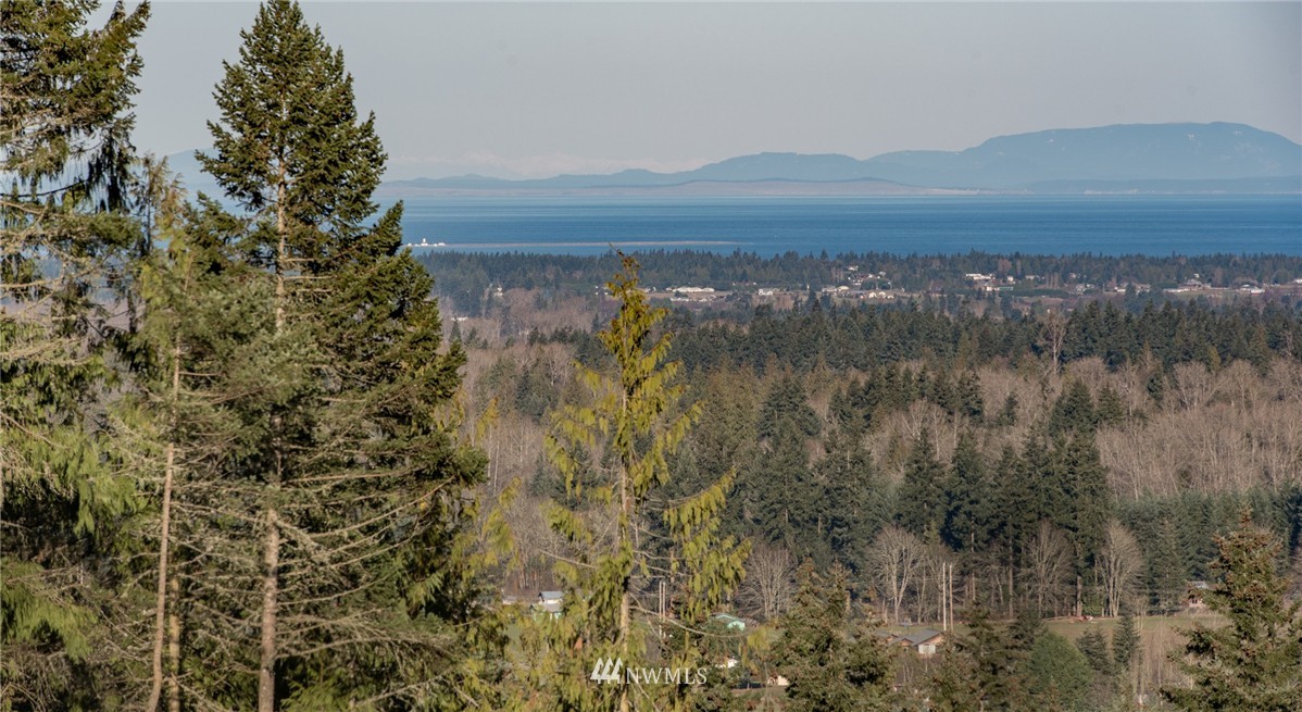 234 Lochow Road Sequim, WA 98382 - Photo 3 of 25