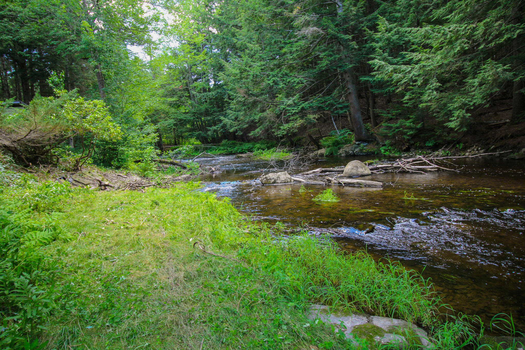 229 Brewer Lake Road Orrington, ME 04474 - Photo 42 of 48 IMG_3435