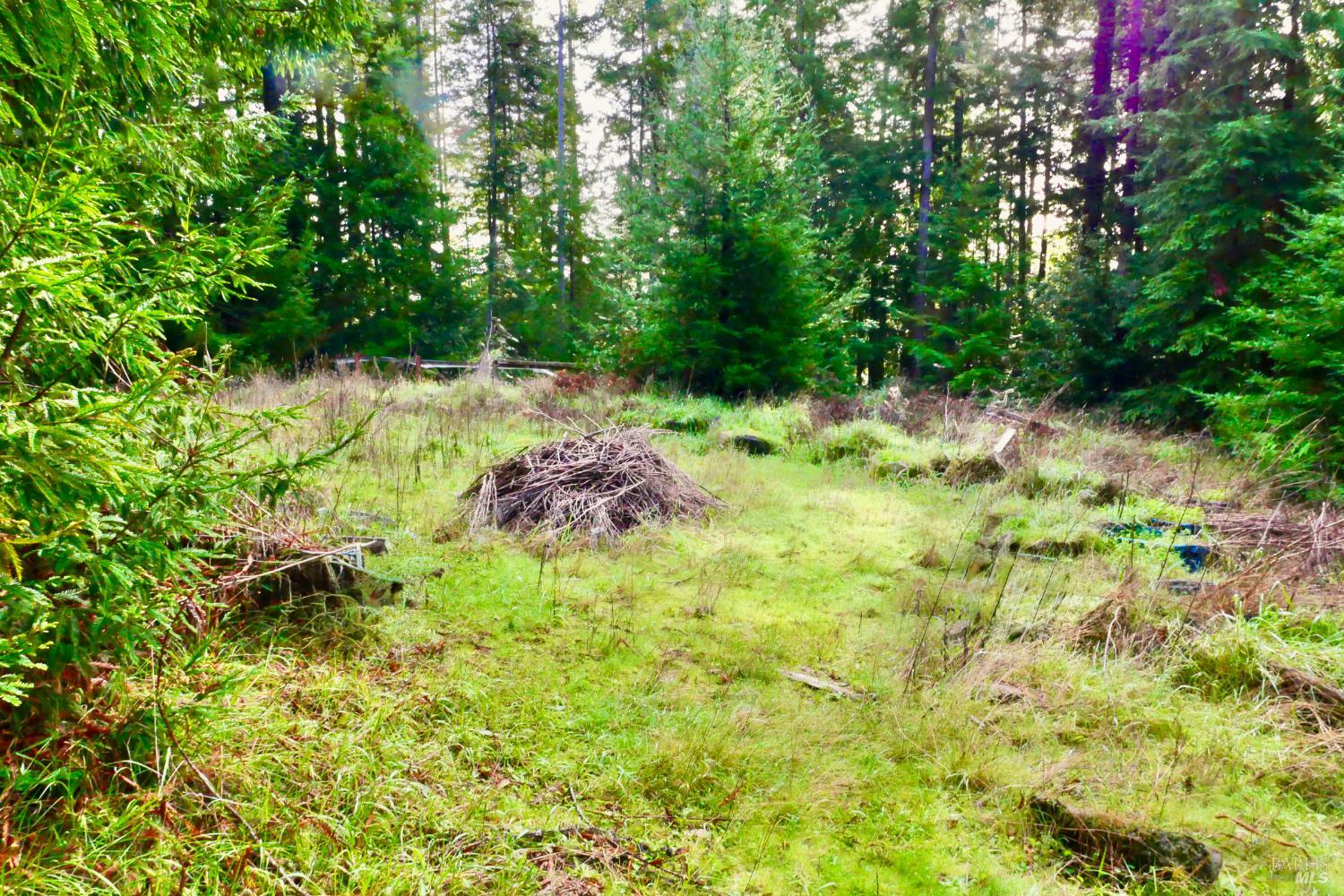 40401 Little River-Airport Road Little River, CA 95456 - Photo 43 of 47 a backyard of a house with lots of green space