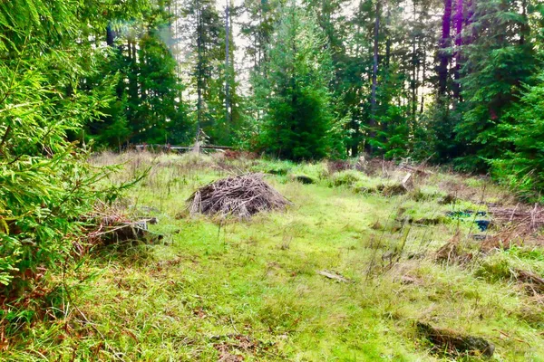 $850,000 | 40401 Little River-Airport Road, Little River, CA 95456