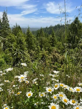 $850,000 | 40401 Little River-Airport Road, Little River, CA 95456