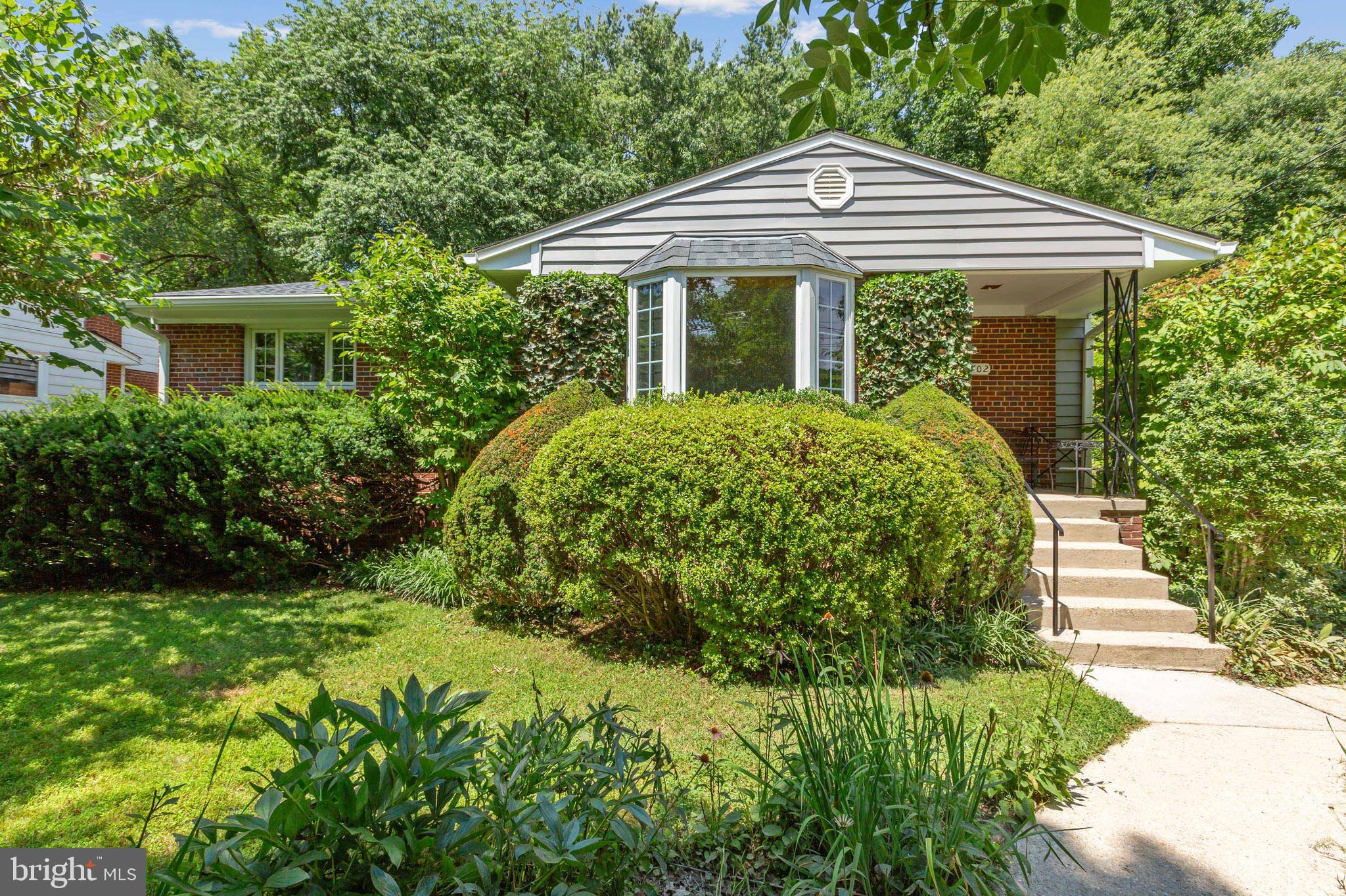 An oasis in Silver Spring