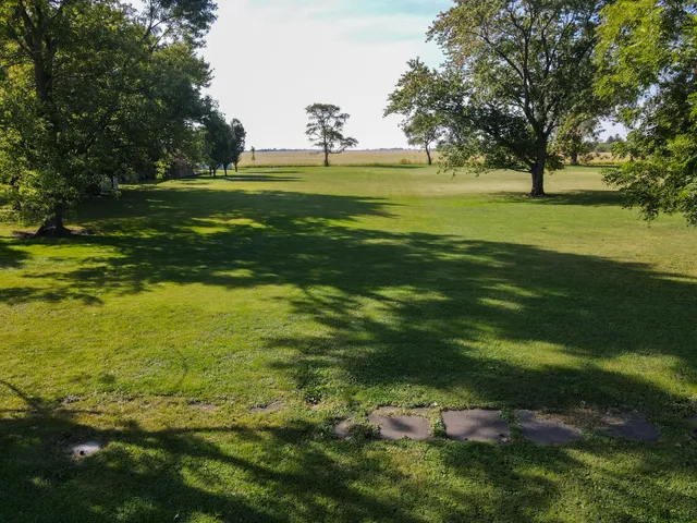 a view of a green field with lots of bushes