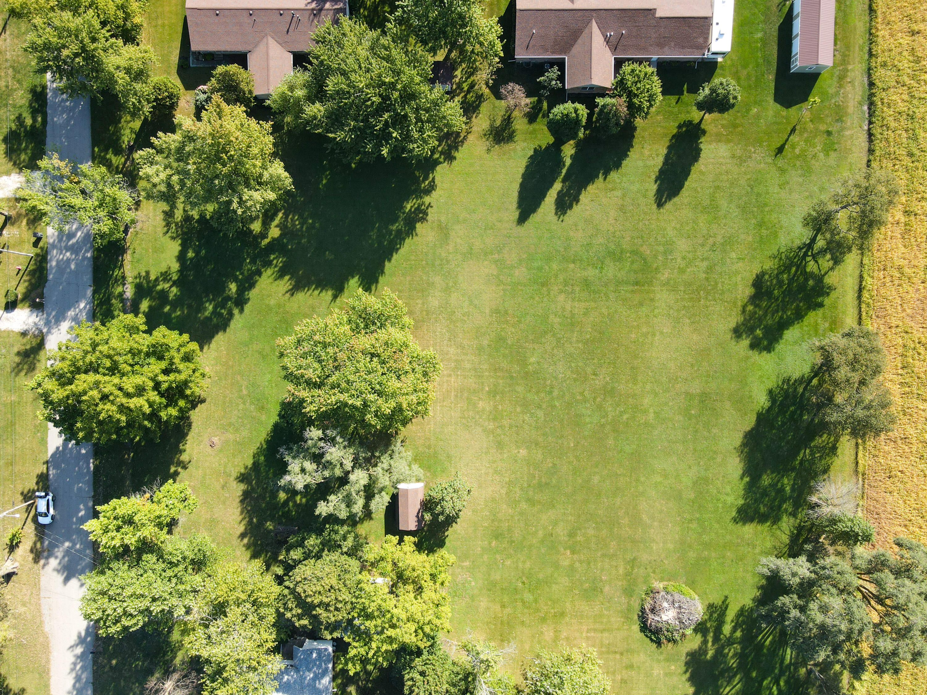 Vacant Land West Allen Street Kentland, IN 47951 - Photo 6 of 6 a close up of a flower garden