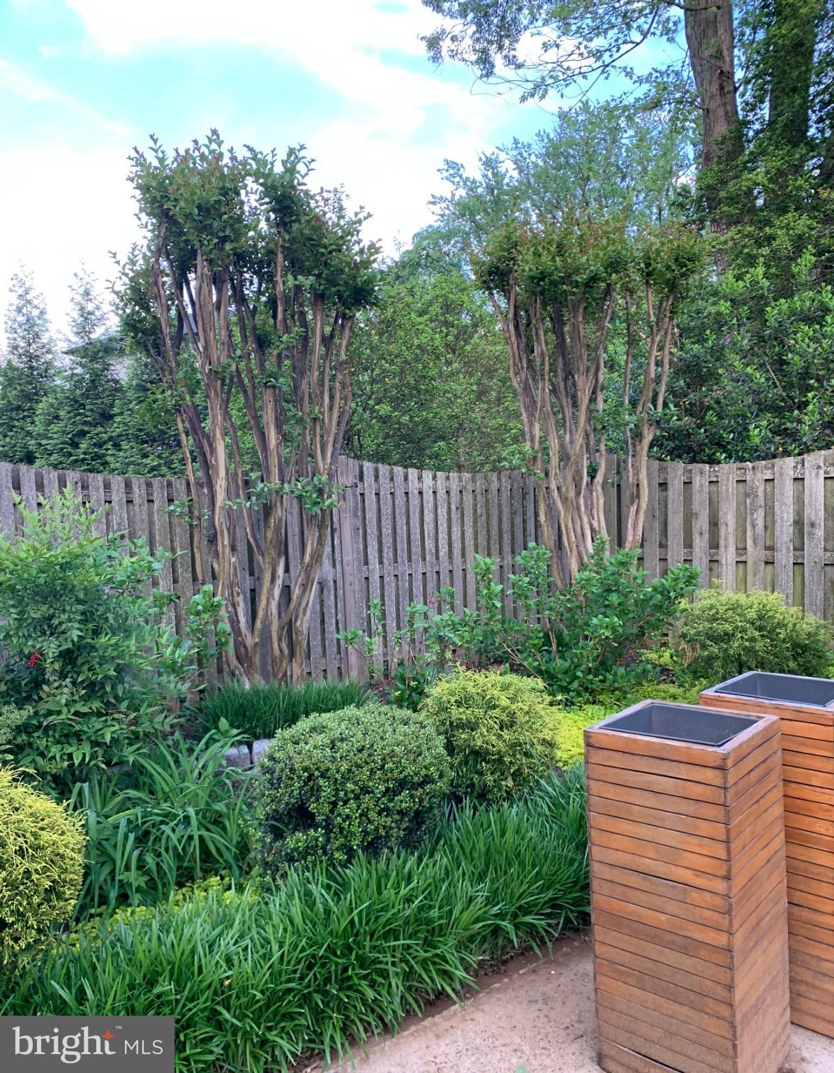 1201 Allendale Road McLean, VA 22101 - Photo 6 of 10 Lush garden oasis with vibrant greenery.