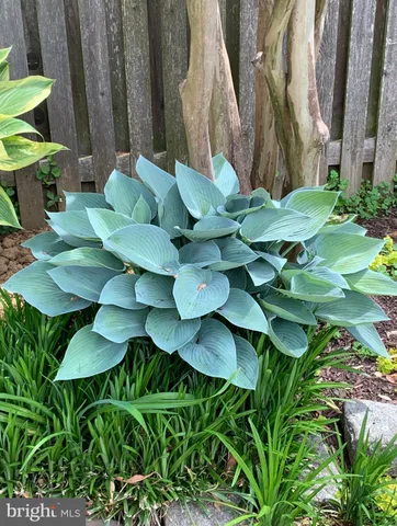 $1,695,000 | 1201 Allendale Road, McLean, VA 22101