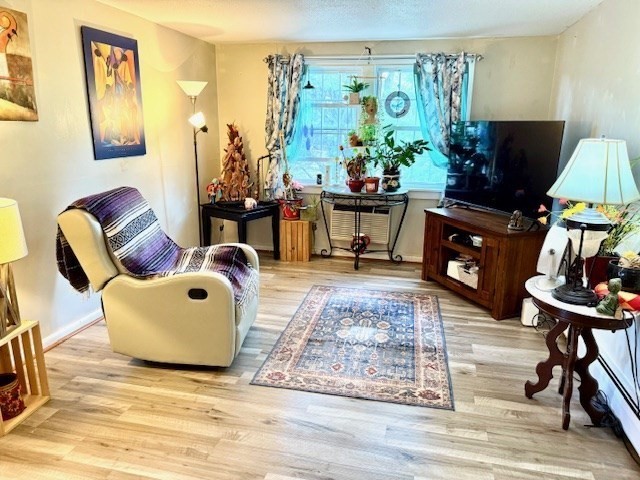 85 Ridgewood Lane, Unit 18 Gardner, MA 01440 - Photo 2 of 13 a living room with furniture and a flat screen tv
