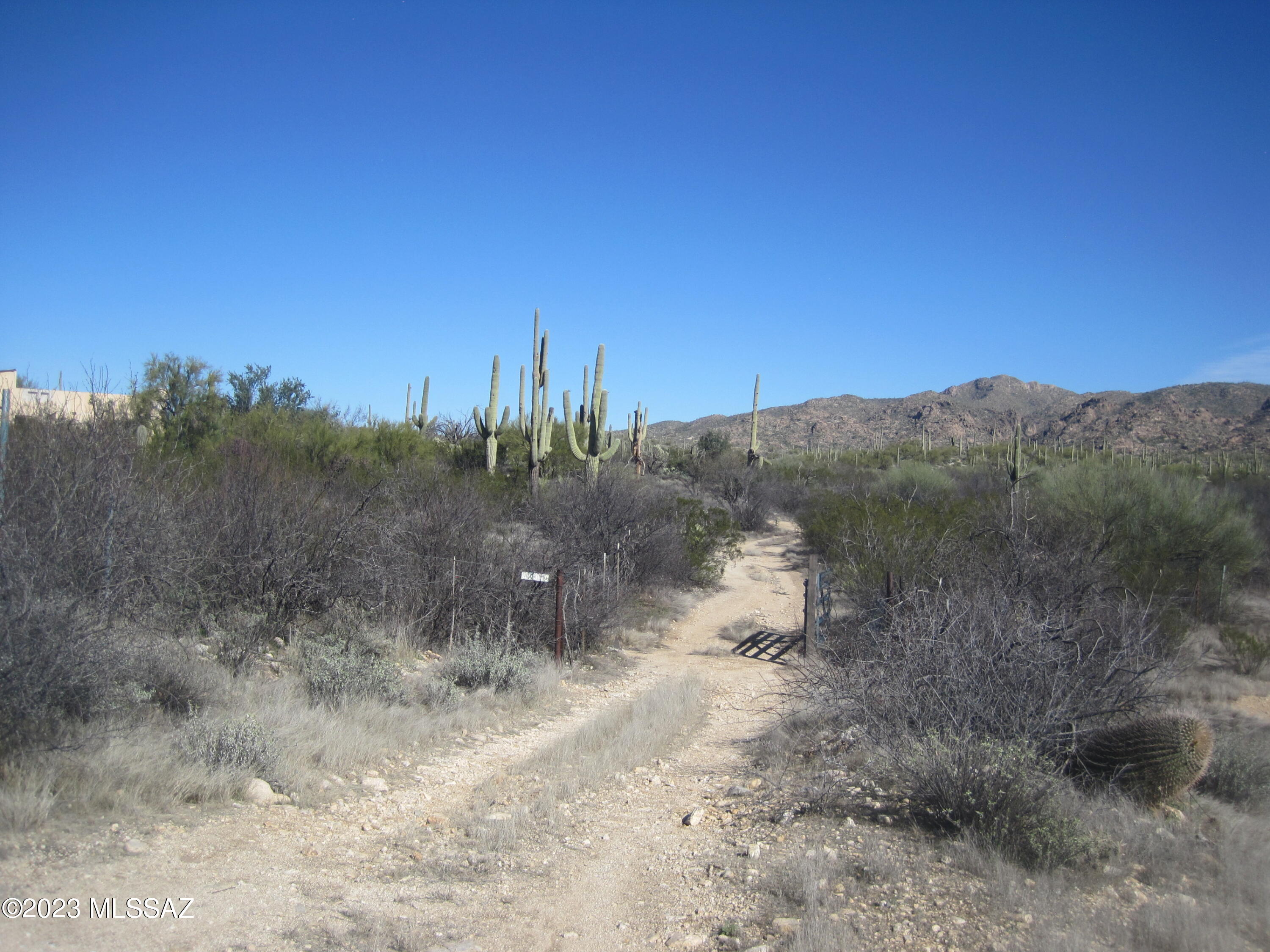 Xxx South Guild Road Marana, AZ 85658 - Photo 9 of 33 Gallery Image 9
