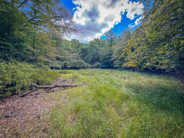 $120,000 | 5 A Pine Street, Mears, MI 49436