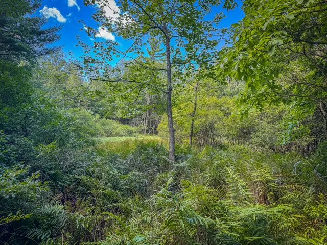 $120,000 | 5 A Pine Street, Mears, MI 49436