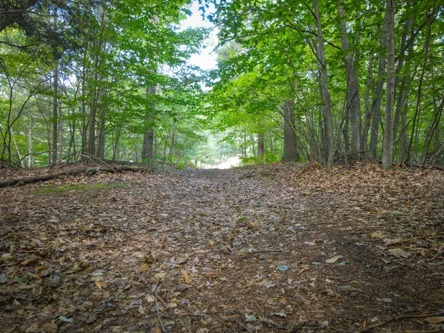 $120,000 | 5 A Pine Street, Mears, MI 49436