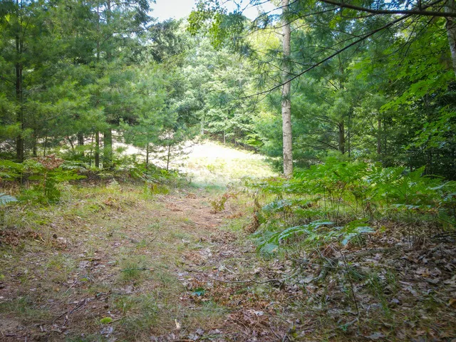 $120,000 | 5 A Pine Street, Mears, MI 49436