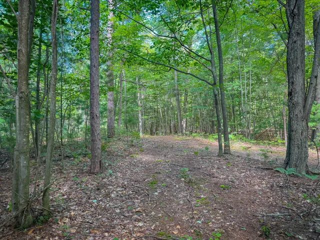 $120,000 | 5 A Pine Street, Mears, MI 49436