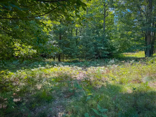 $120,000 | 5 A Pine Street, Mears, MI 49436