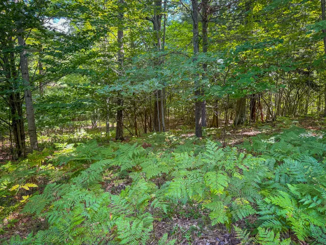 $120,000 | 5 A Pine Street, Mears, MI 49436