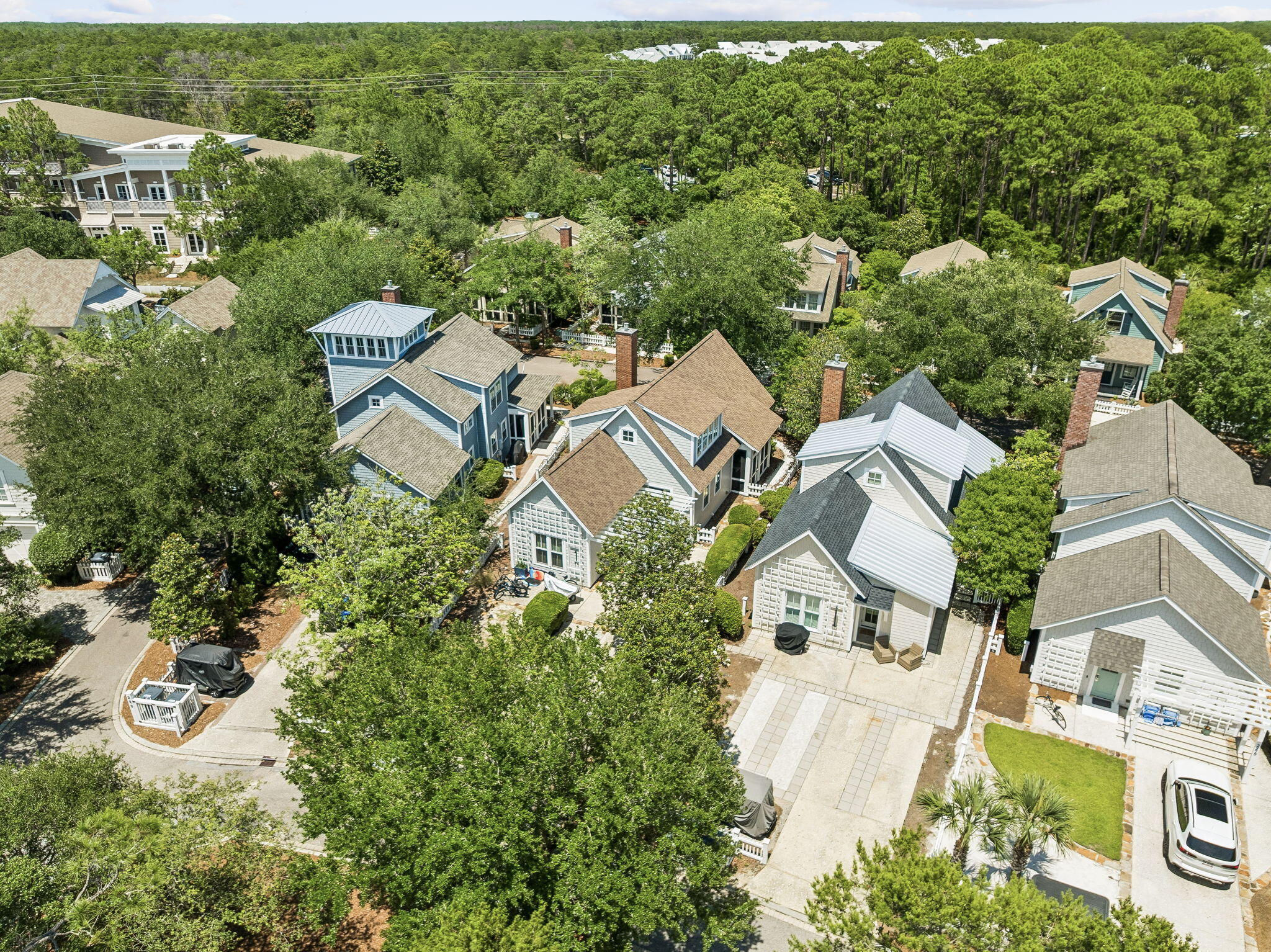 230 Salt Lane Inlet Beach, FL 32461 - Photo 2 of 33 230 Salt Box Lane