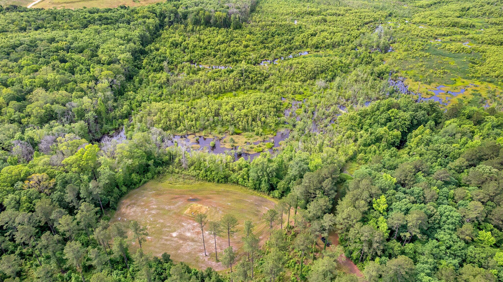 1601 Dutch Neck Road Kingstree, SC 29556 - Photo 8 of 26 8