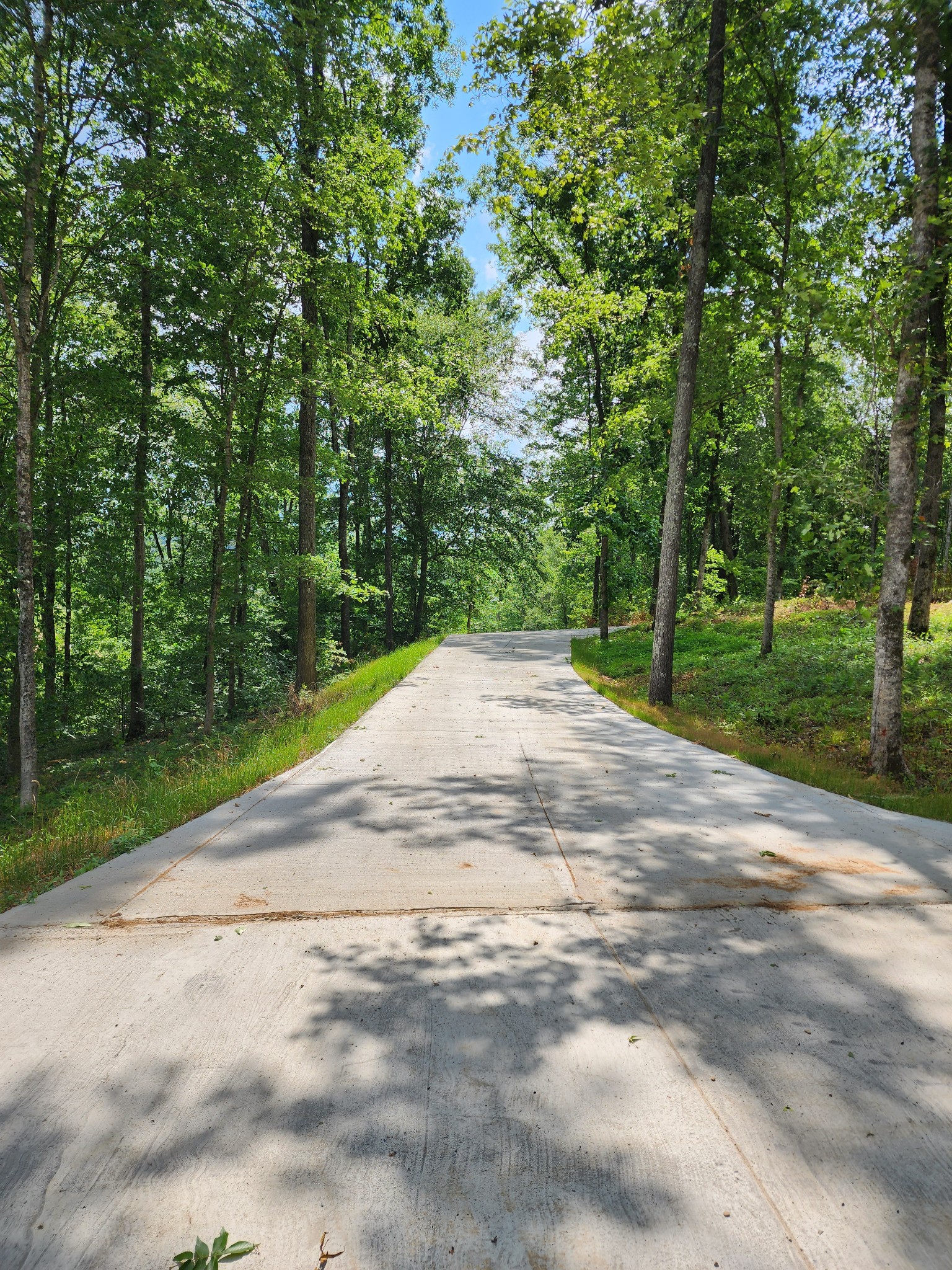 6100 Clydeton Road Waverly, TN 37185 - Photo 5 of 32 Long Concrete Drive .