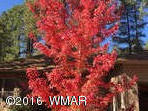 2668 Timber Ridge Lane Pinetop, AZ 85935 - Photo 19 of 20 Gallery Image 19