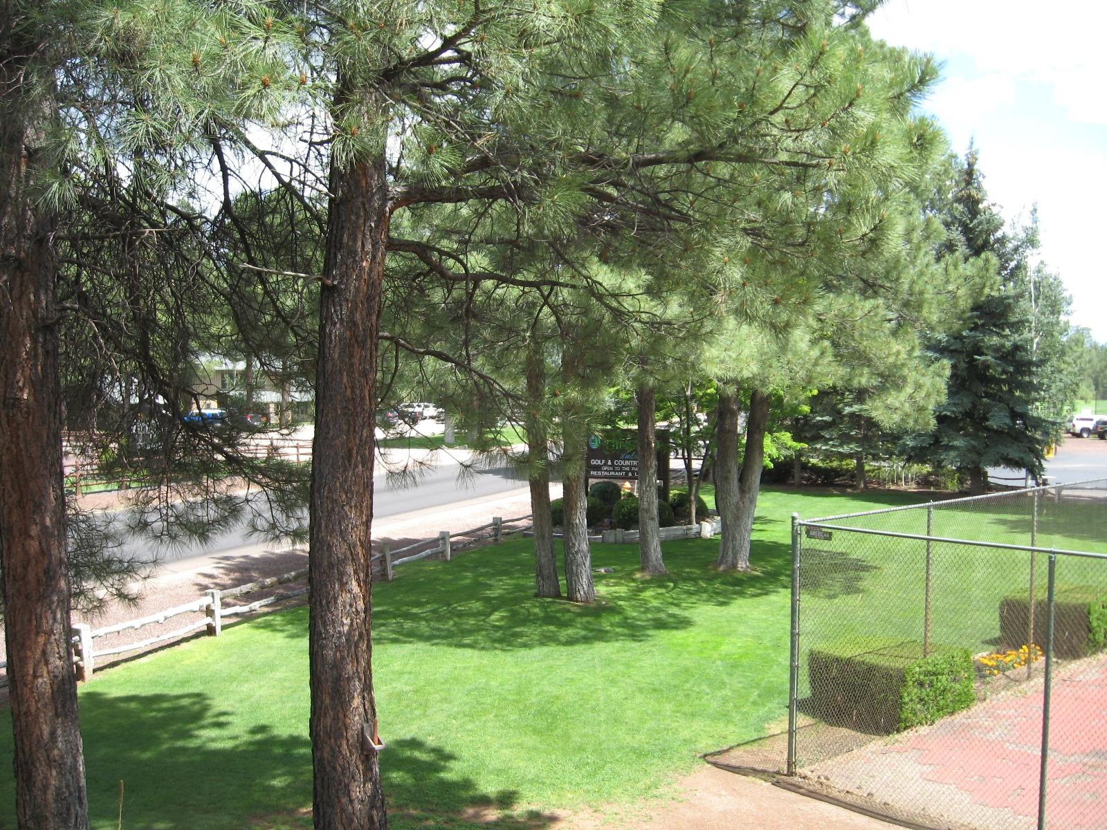 4635 A Resort Loop, Unit 1A Pinetop, AZ 85935 - Photo 6 of 6 Gallery Image 6