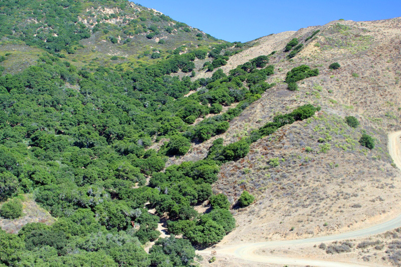 44 Hollister Ranch Road Goleta, CA 93117 - Photo 1 of 4 Hollister Ranch