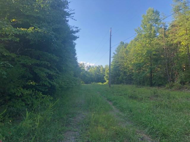 Savage Boles Road Wilder, TN 38589 - Photo 2 of 5 IMG_9327