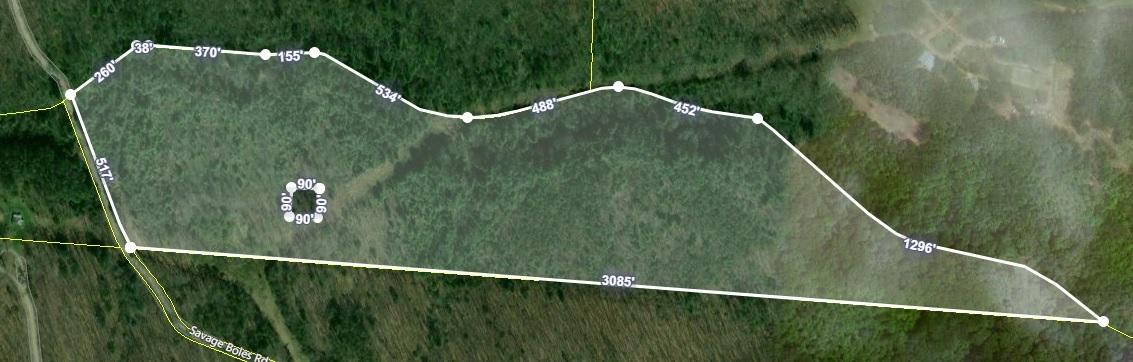 Savage Boles Road Wilder, TN 38589 - Photo 5 of 5 Plat map 2