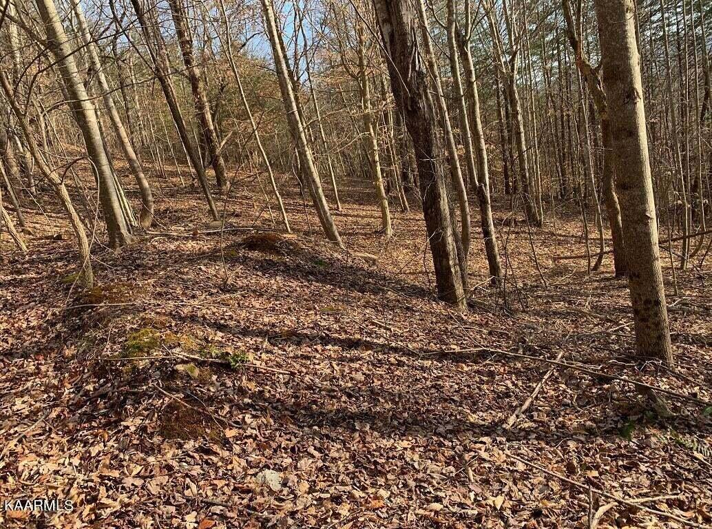 995 Whistle Valley Road, Unit 244 New Tazewell, TN 37825 - Photo 14 of 51 Photo 2
