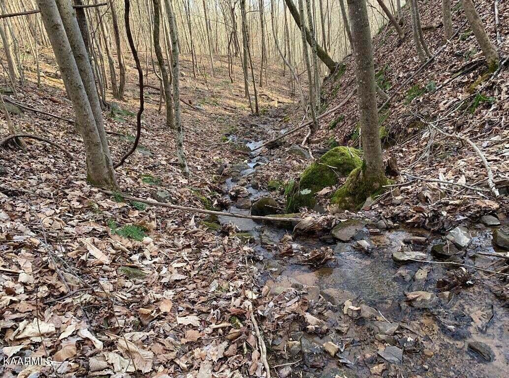 995 Whistle Valley Road, Unit 244 New Tazewell, TN 37825 - Photo 19 of 51 Photo 7