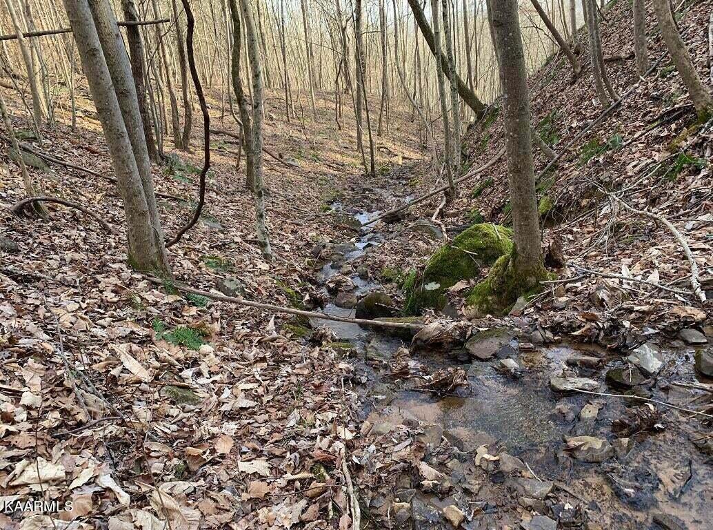 995 Whistle Valley Road, Unit 244 New Tazewell, TN 37825 - Photo 20 of 51 Photo 8