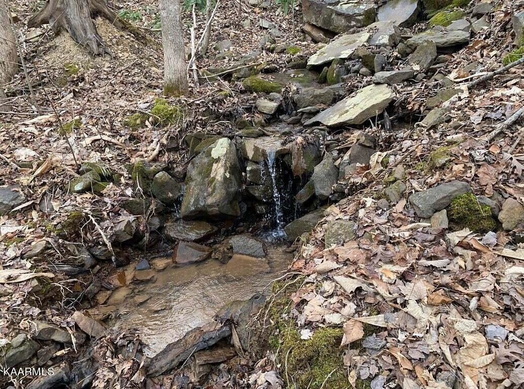 995 Whistle Valley Road, Unit 244 New Tazewell, TN 37825 - Photo 23 of 51 Photo 11