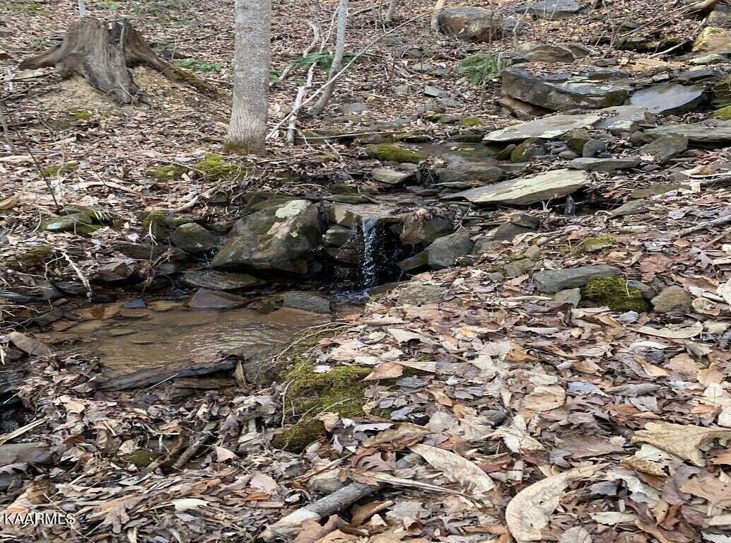995 Whistle Valley Road, Unit 244 New Tazewell, TN 37825 - Photo 24 of 51 Photo 12
