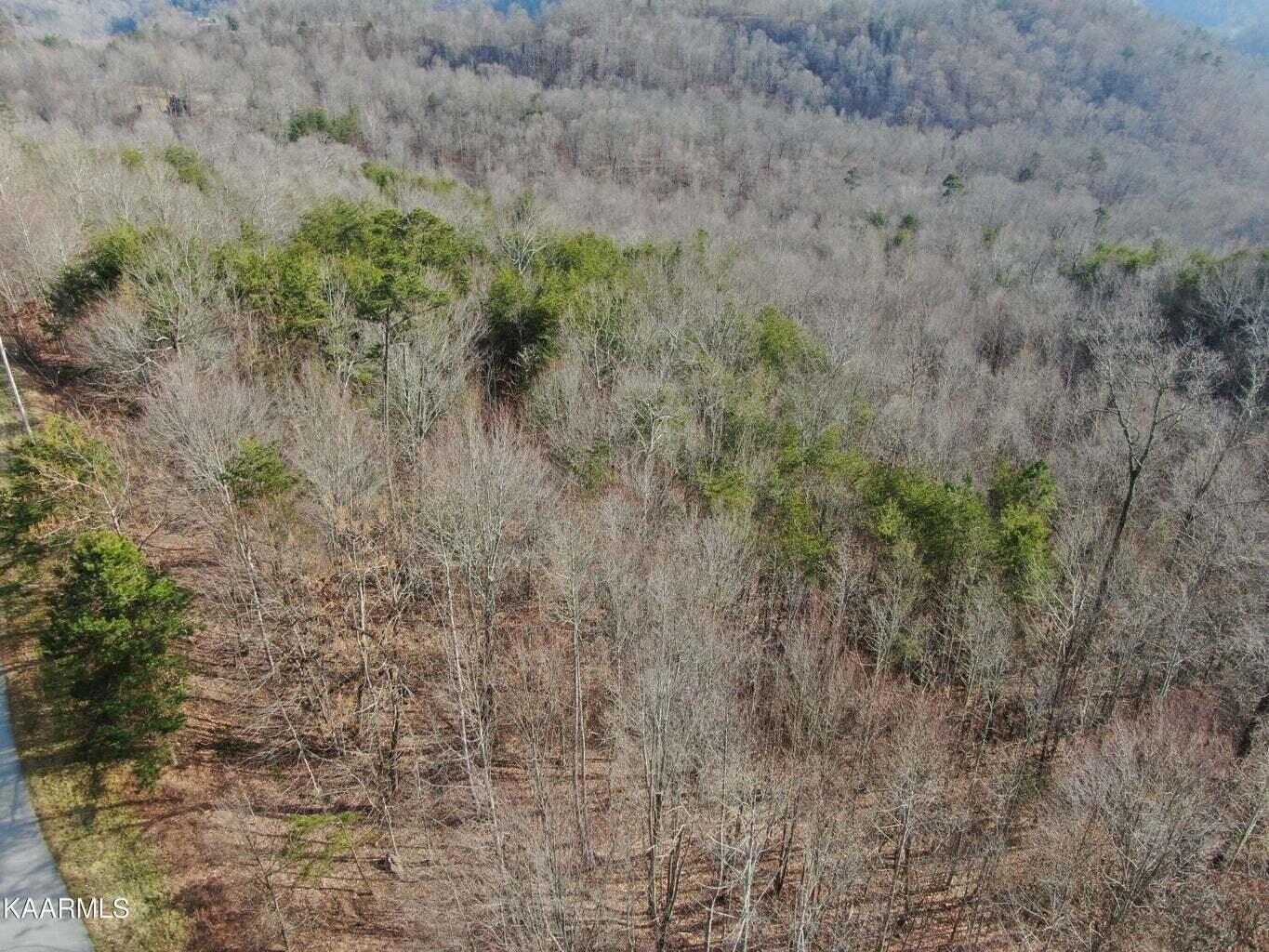995 Whistle Valley Road, Unit 244 New Tazewell, TN 37825 - Photo 27 of 51 Drone Photo
