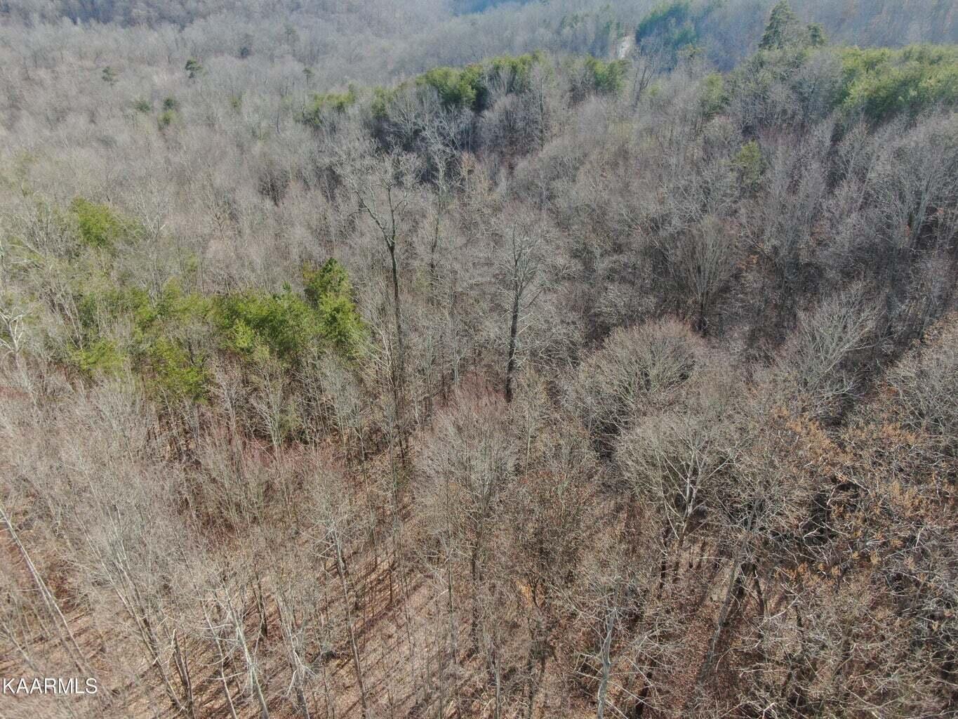 995 Whistle Valley Road, Unit 244 New Tazewell, TN 37825 - Photo 32 of 51 Drone Photo