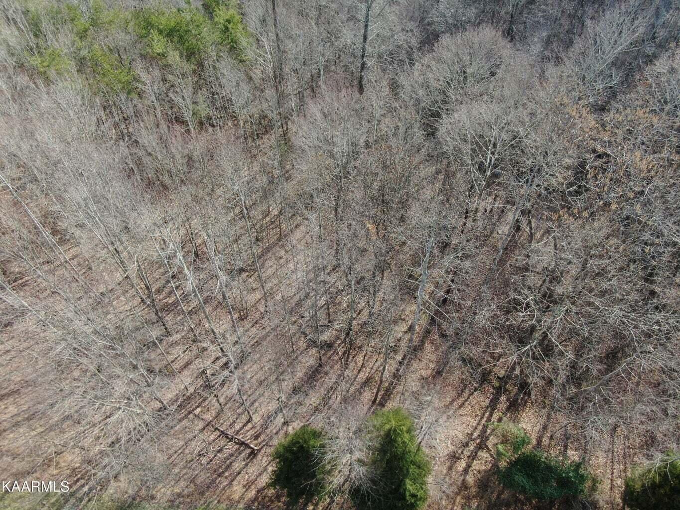 995 Whistle Valley Road, Unit 244 New Tazewell, TN 37825 - Photo 33 of 51 Drone Photo