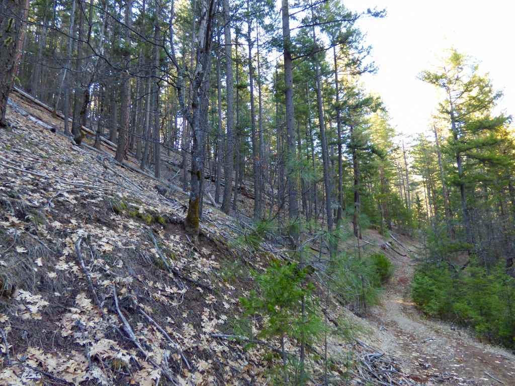 0 Greenhorn Road Yreka, CA 96097 - Photo 6 of 17 Gallery Image 6