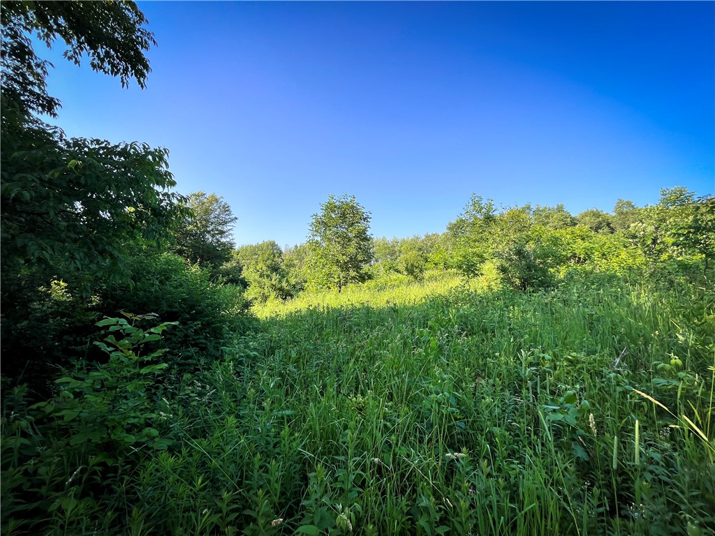 98 Hawk Road Volney, NY 13069 - Photo 8 of 49 Gallery Image 8