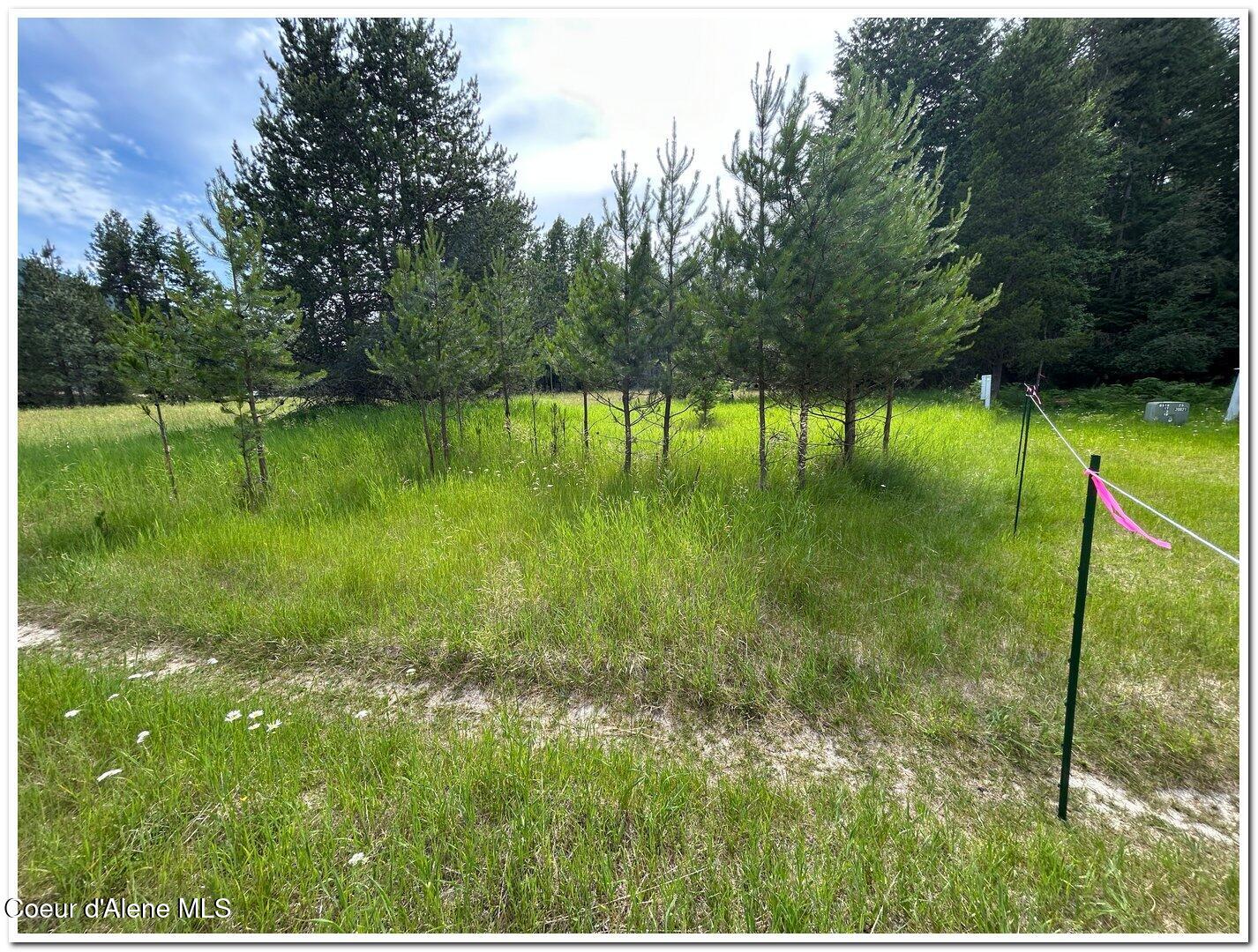 Nna Kokanee Road Bonners Ferry, ID 83805 - Photo 12 of 30 09A North Boundary Line