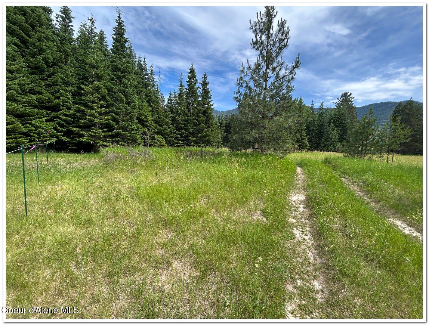 Nna Kokanee Road Bonners Ferry, ID 83805 - Photo 13 of 30 09B View East along Boundary Line