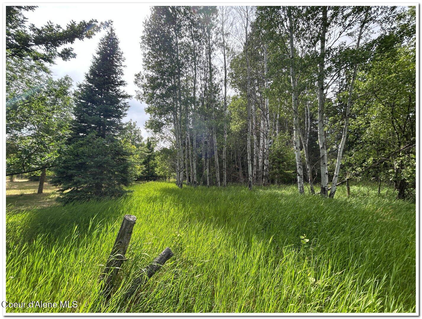 Nna Kokanee Road Bonners Ferry, ID 83805 - Photo 15 of 30 12 Birch Grove