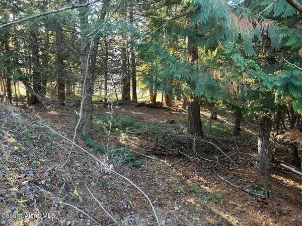 $299,900 | Nna Kokanee Road, Bonners Ferry, ID 83805