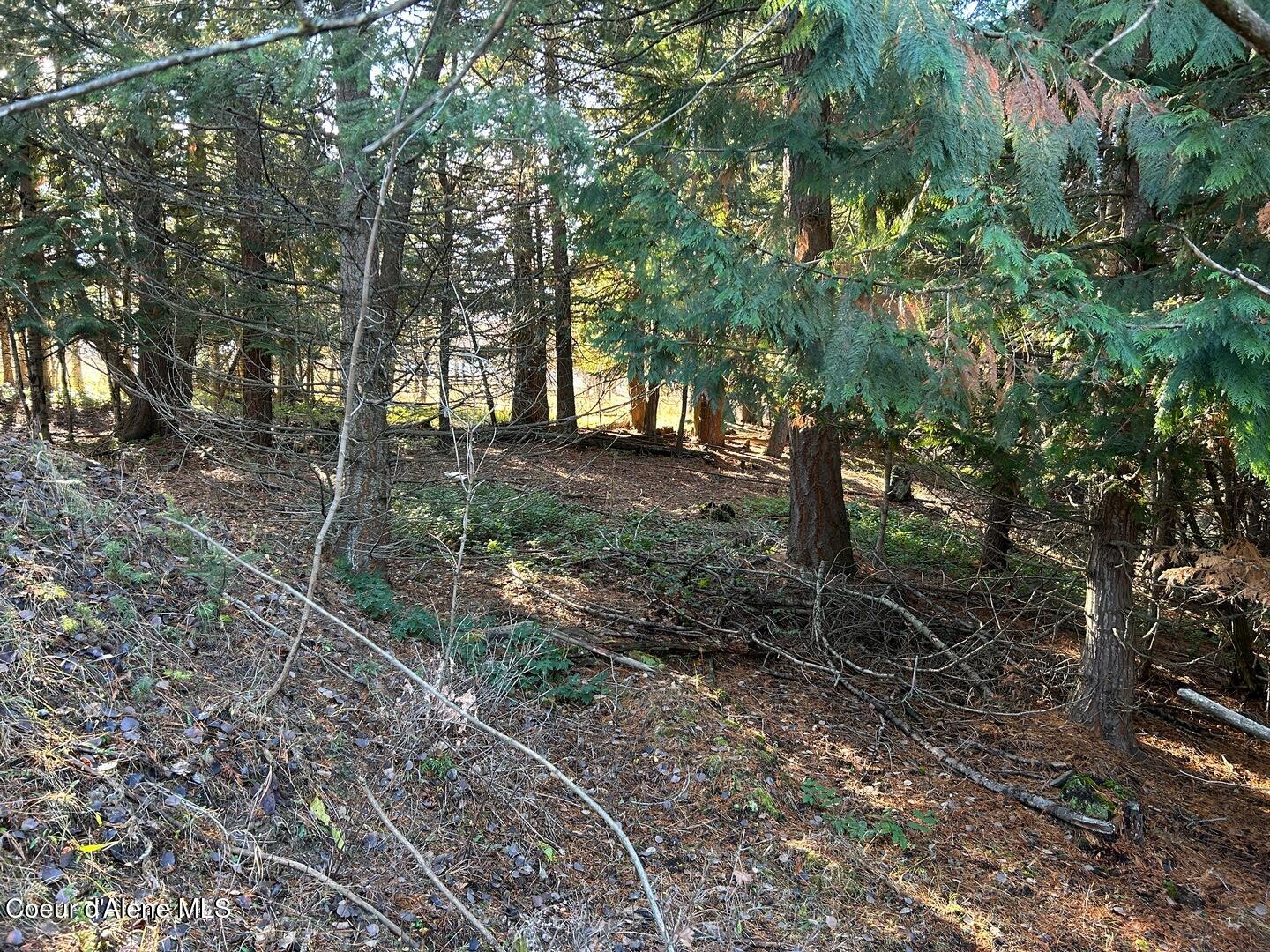 Nna Kokanee Road Bonners Ferry, ID 83805 - Photo 23 of 30 20 Wooded West Side