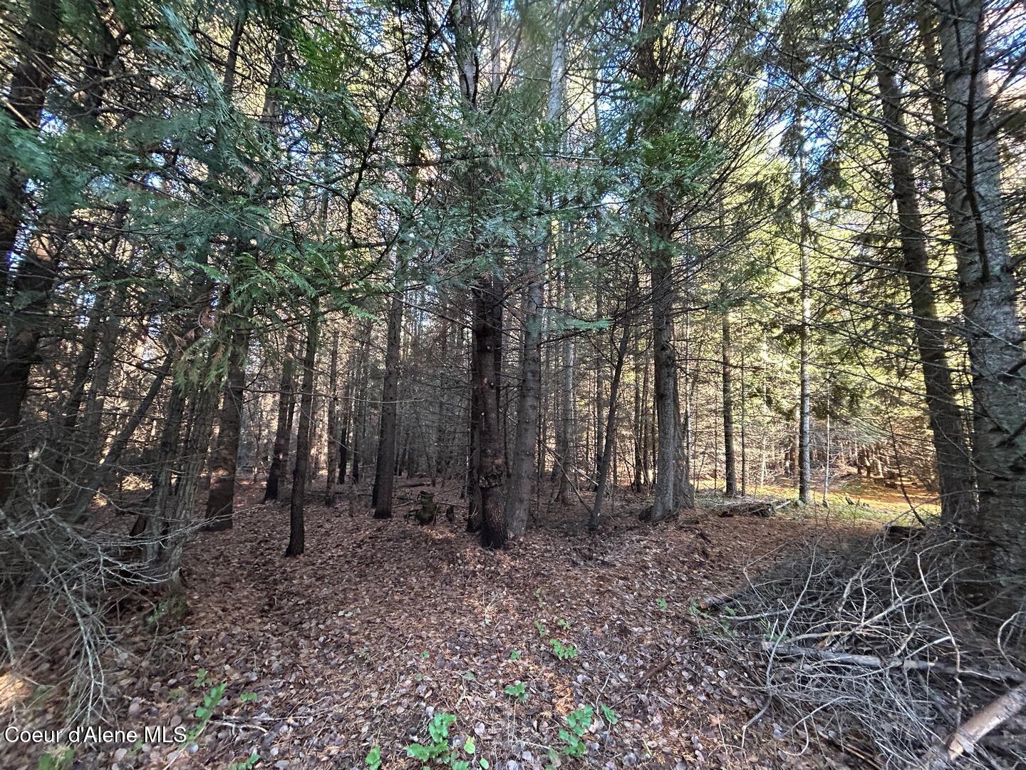 Nna Kokanee Road Bonners Ferry, ID 83805 - Photo 24 of 30 21 Wooded Trails on the West