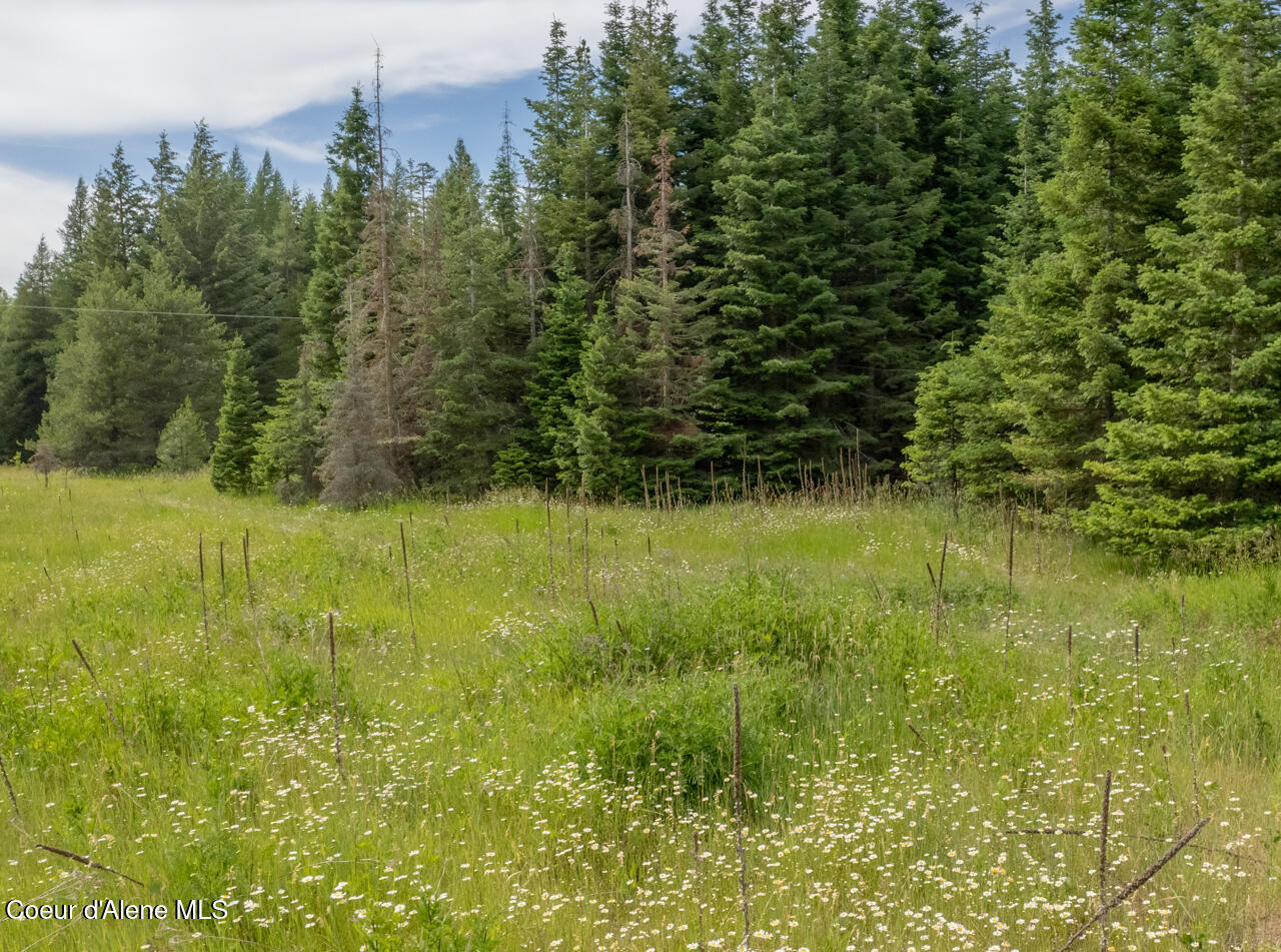 Nna Kokanee Road Bonners Ferry, ID 83805 - Photo 27 of 30 24 Privacy Border of Trees